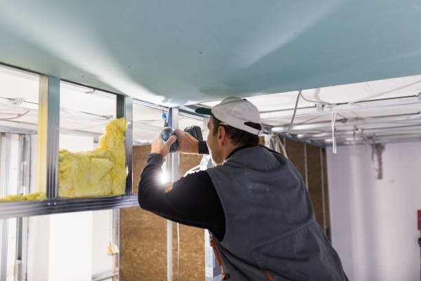Best Commercial Insulation in Wallace, FL